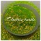 Electric Turtle: Iridescent neon chunky garden blend PET glitter by TwoFaced Glitters